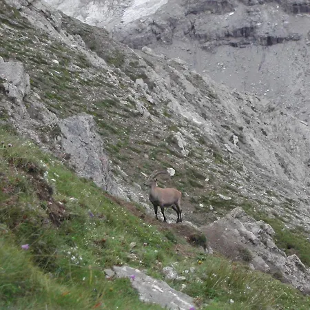 Casa Giulia Apartmán *