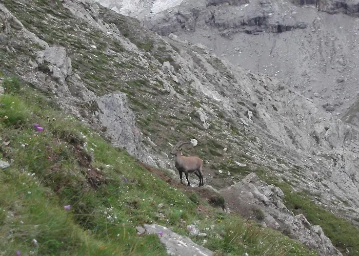 Casa Giulia Apartment *